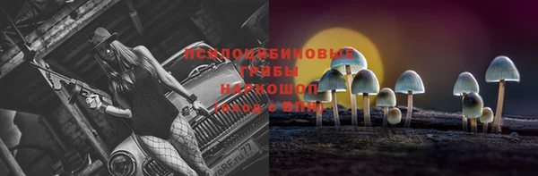 прущие крисы Алексин