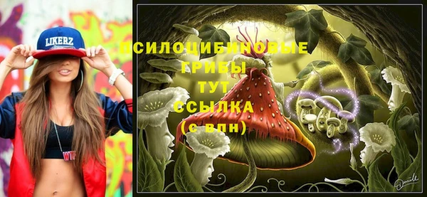a pvp Алексеевка
